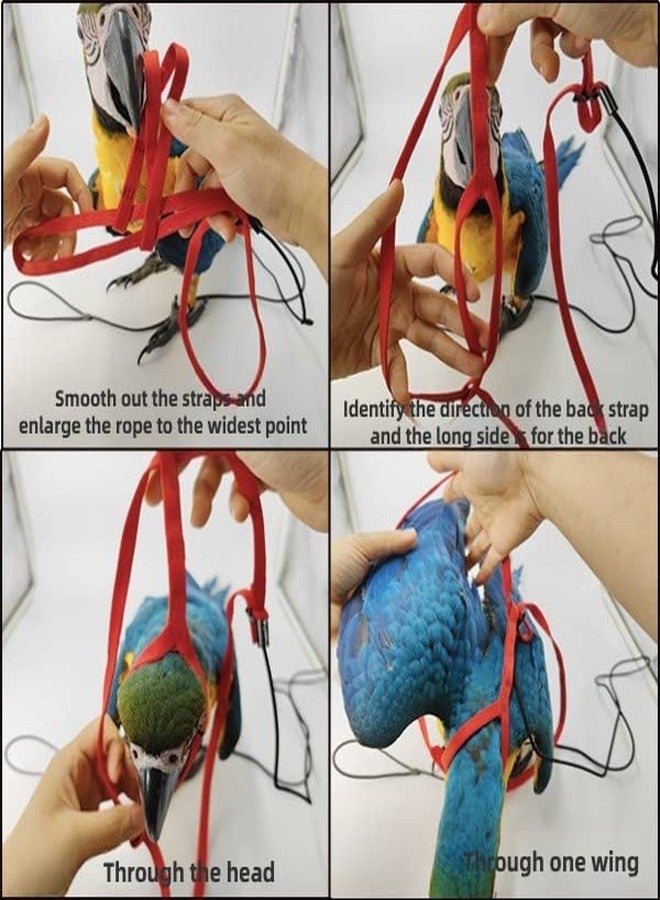 Barn Eleven Adjustable Bird Harness with 78.7 Inch Leash, Outdoor Flying Training Rope Kit for Bird Parrots, Parrot Flying Rope Straps Outdoor Training Traction Rope for Small Medium Large Size Birds (XL) - Image 2